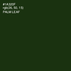 #1A320F - Palm Leaf Color Image